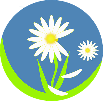 Stylized Daisy Graphic PNG Image