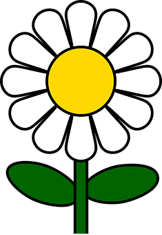 Stylized Daisy Graphic PNG Image