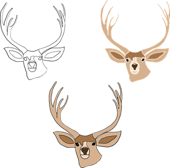 Stylized Deer Heads Triptych PNG Image