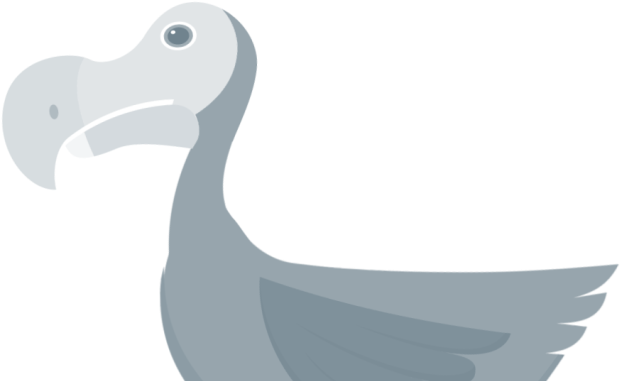 Stylized Dodo Bird Illustration PNG Image