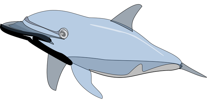 Stylized Dolphin Illustration PNG Image