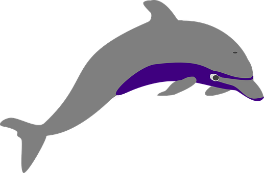 Stylized Dolphin Illustration PNG Image