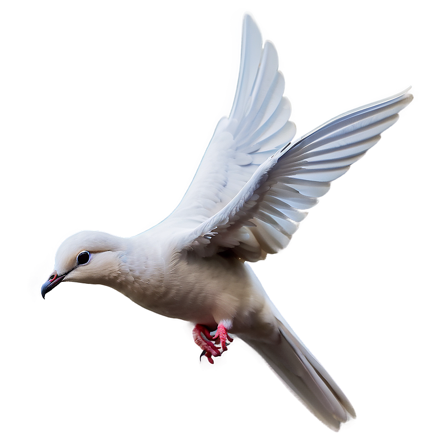 Stylized Dove Png 56 PNG Image