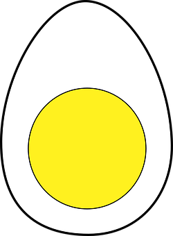 Stylized Egg Illustration PNG Image