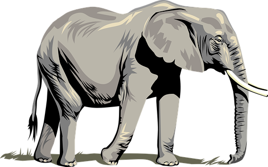 Stylized Elephant Graphic PNG Image