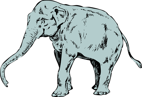 Stylized Elephant Illustration PNG Image