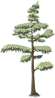 Stylized Evergreen Tree Illustration PNG Image