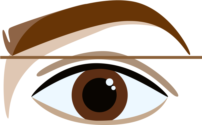 Stylized Eyeand Eyebrow Illustration PNG Image