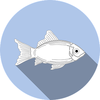 Stylized Fish Icon PNG Image