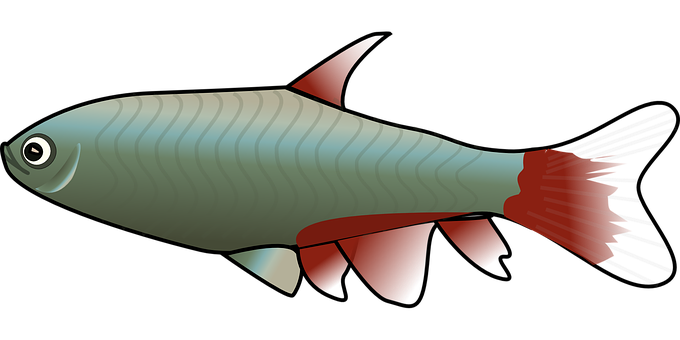 Stylized Fish Illustration PNG Image