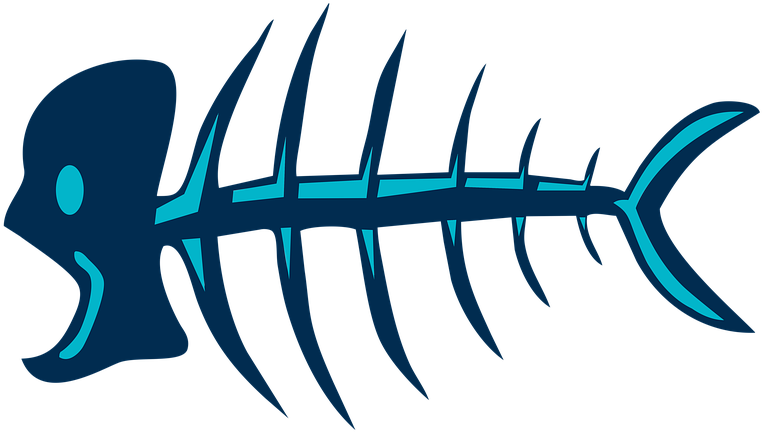 Stylized Fish Skeleton Graphic PNG Image