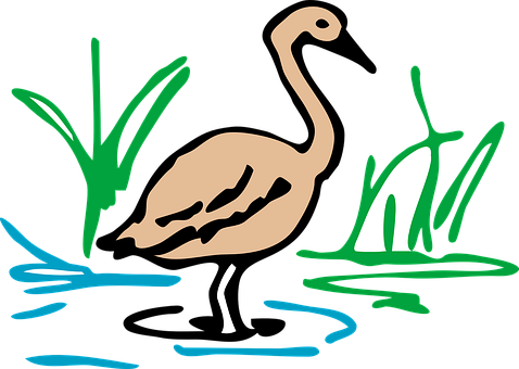 Stylized Flamingo Artwork PNG Image