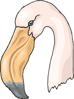 Stylized Flamingo Head Illustration PNG Image