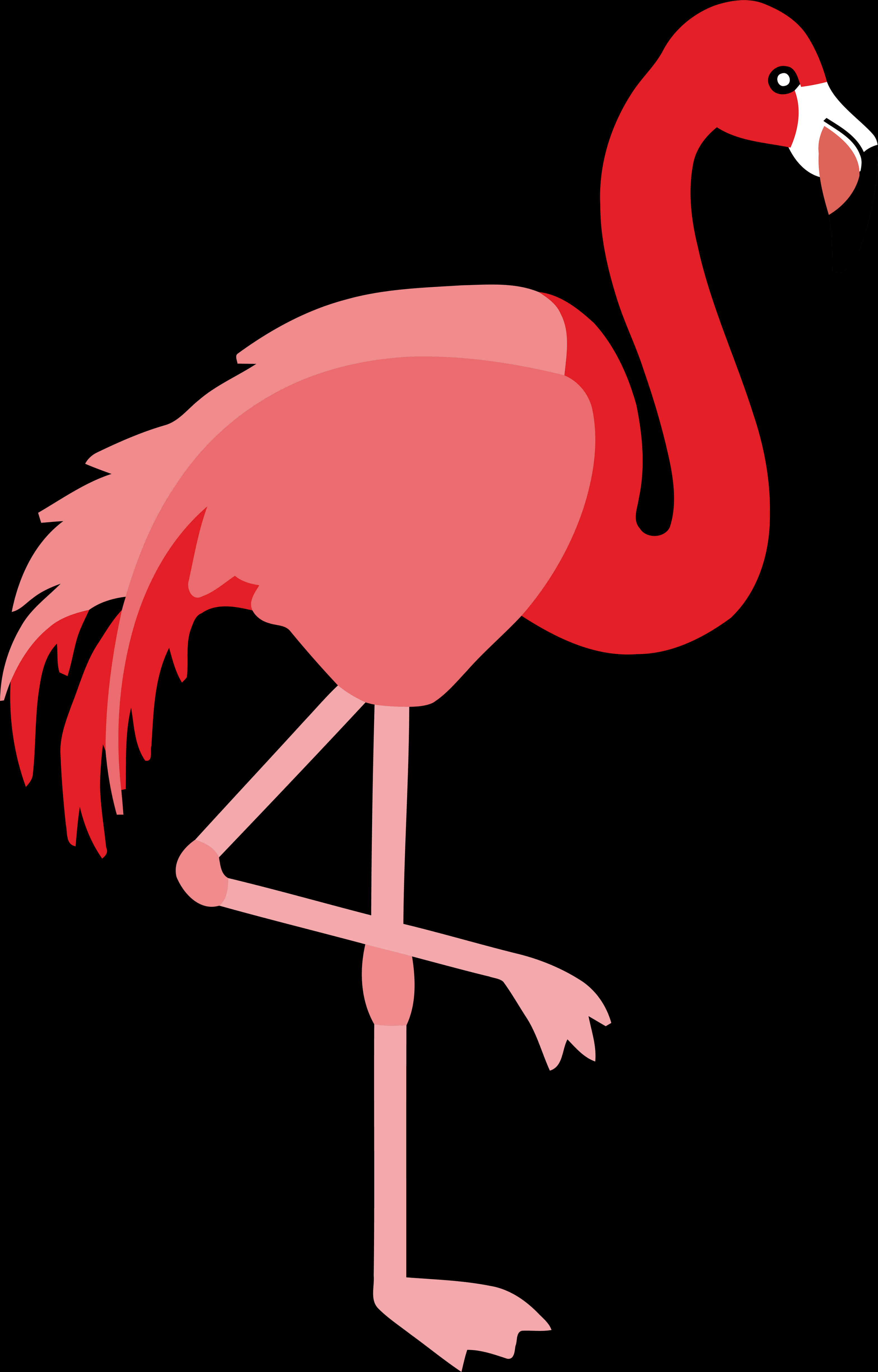 Stylized Flamingo Vector Illustration PNG Image