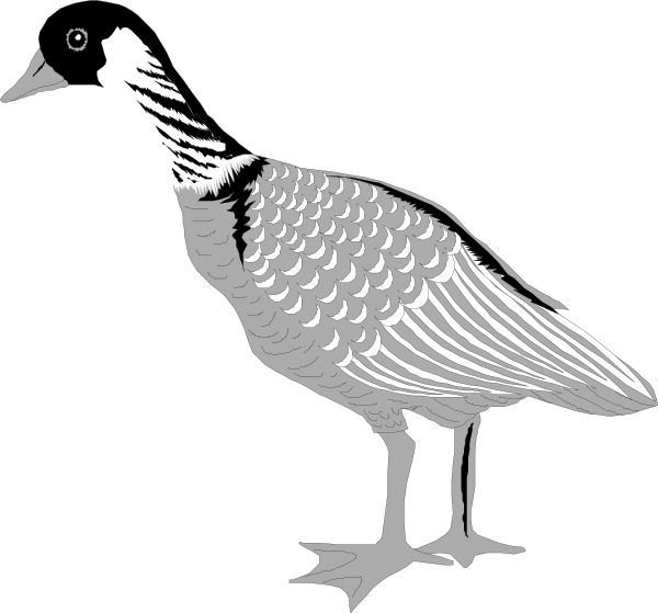 Stylized Goose Illustration PNG Image