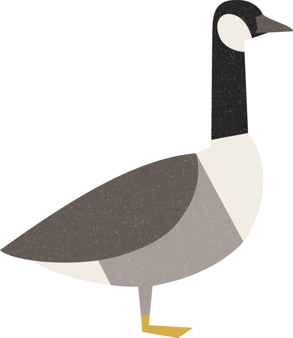 Stylized Goose Illustration PNG Image