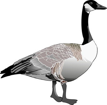 Stylized Goose Illustration PNG Image