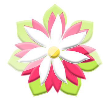 Stylized Graphic Flower Illustration PNG Image