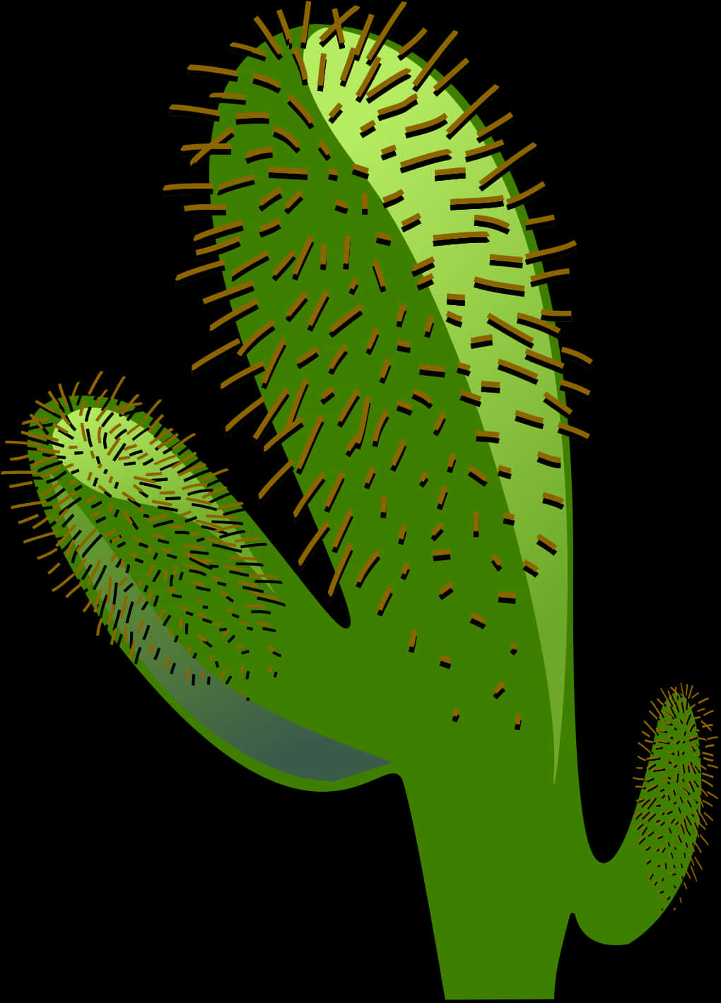 Stylized Green Cactus Illustration PNG Image