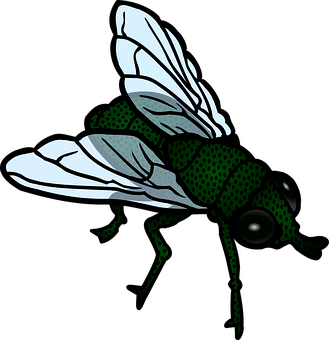 Stylized Green Fly Illustration PNG Image