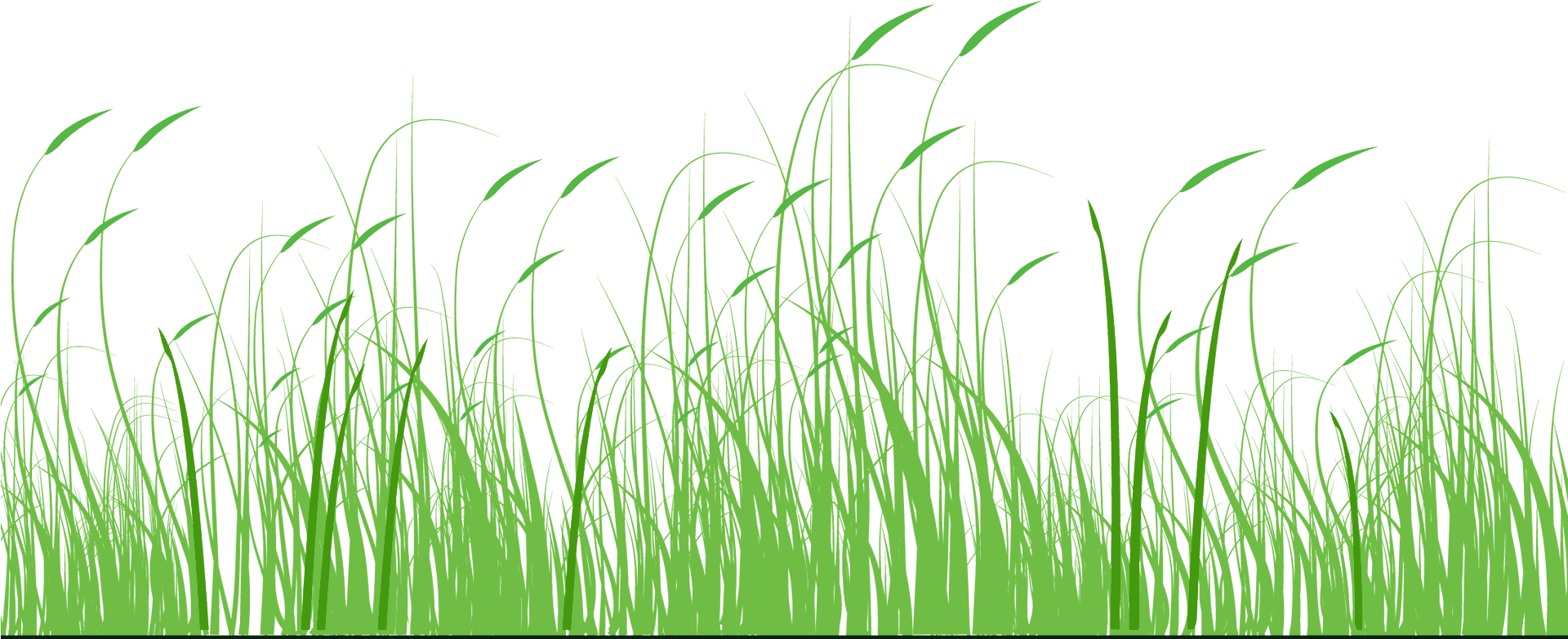 Stylized Green Meadow Vector PNG Image