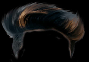 Stylized Hair Silhouette PNG Image