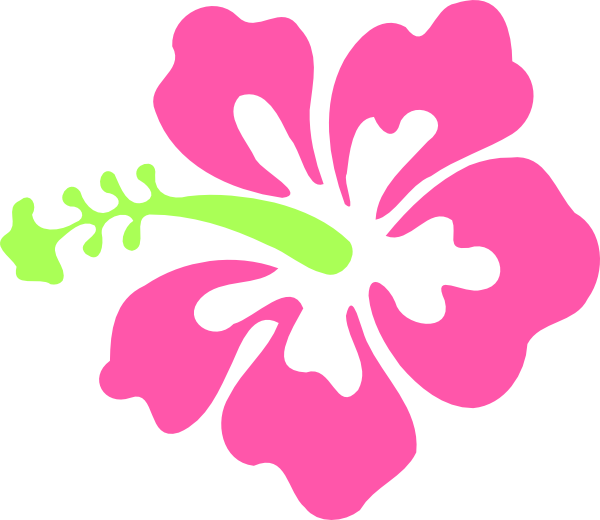 Stylized Hibiscus Graphic PNG Image