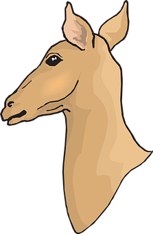 Stylized Horse Head Illustration PNG Image