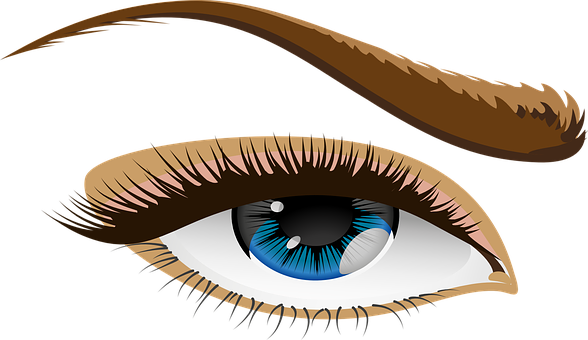 Stylized Human Eye Illustration PNG Image