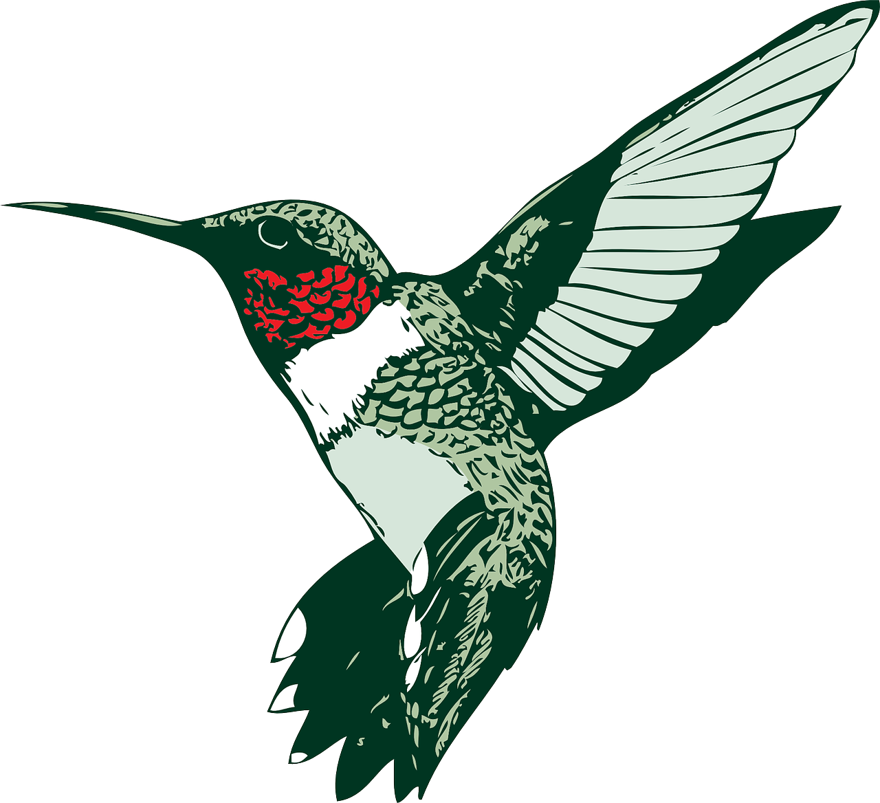 Stylized Hummingbird Illustration PNG Image