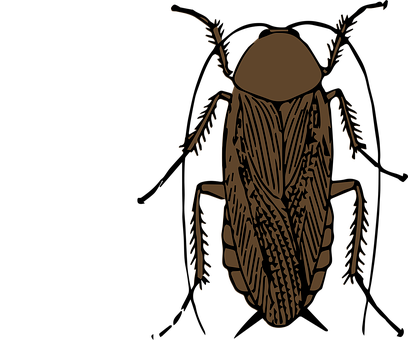 Stylized Insect Illustration PNG Image