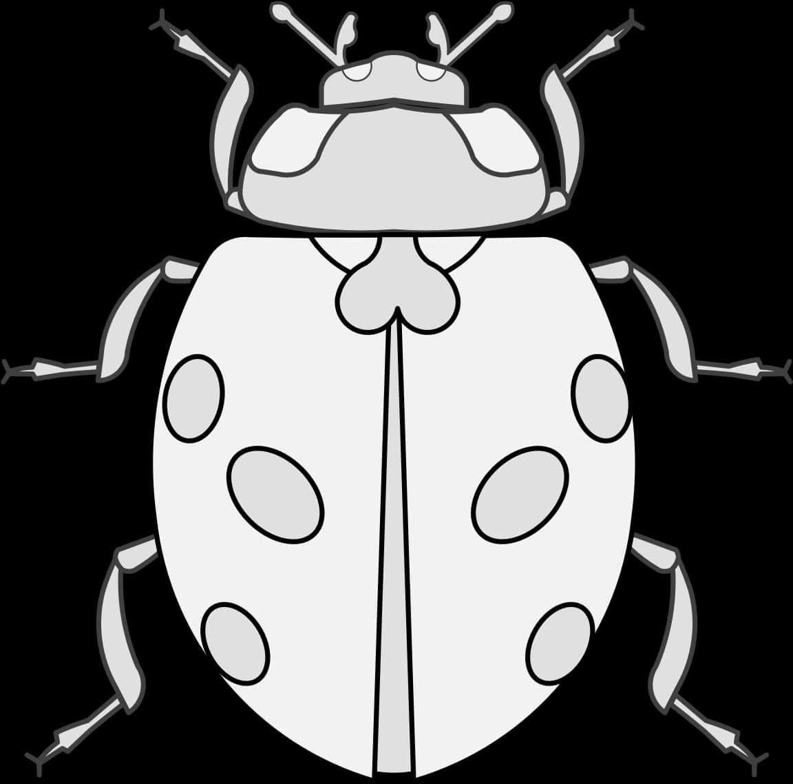 Stylized Ladybug Illustration PNG Image