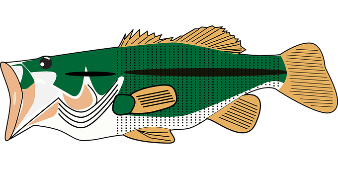 Stylized Largemouth Bass Illustration PNG Image