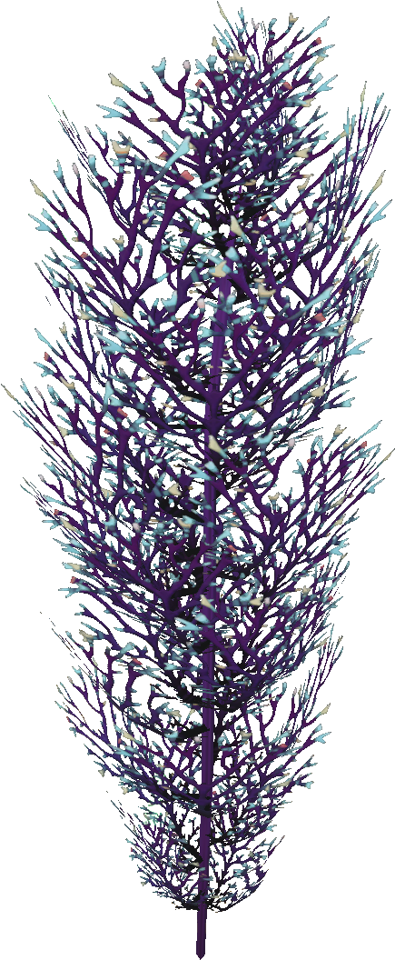 Stylized Lavender Sprig PNG Image