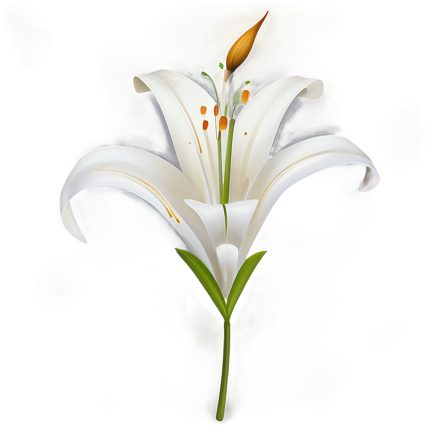 Stylized Lily Flower Png 49 PNG Image