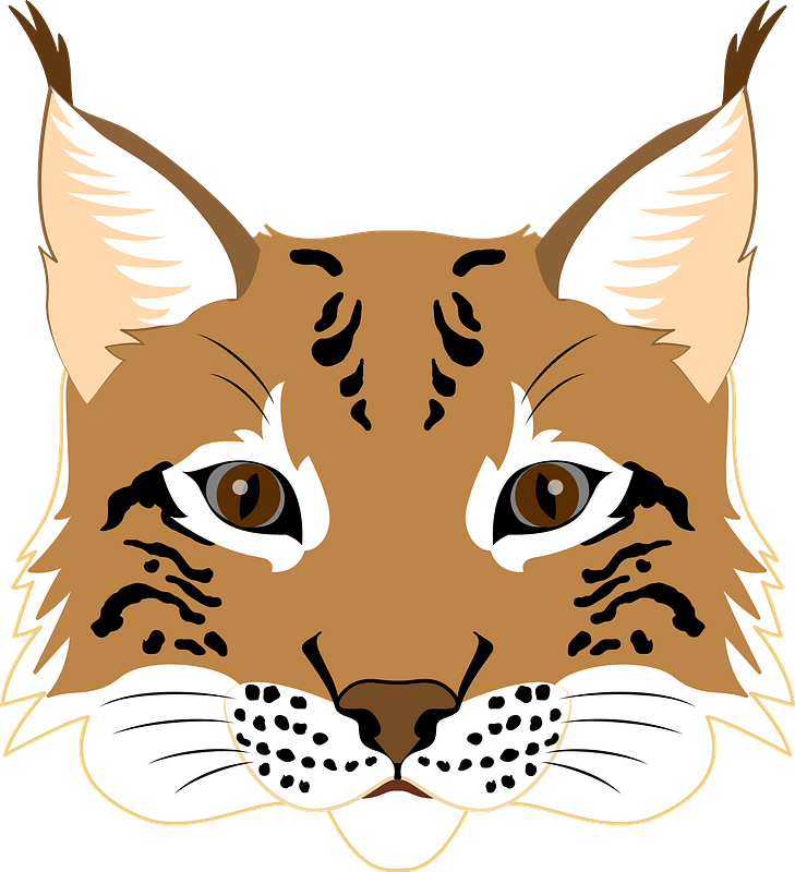 Stylized Lynx Face Illustration PNG Image