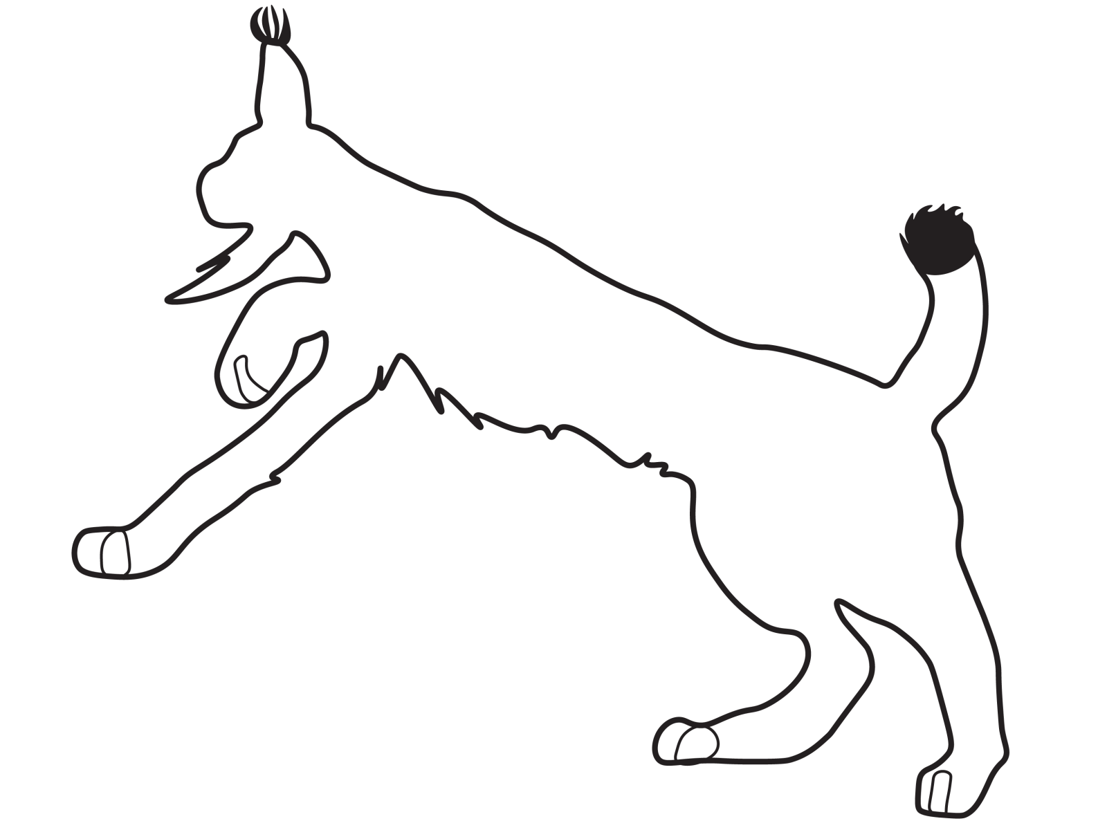 Stylized Lynx Line Art PNG Image