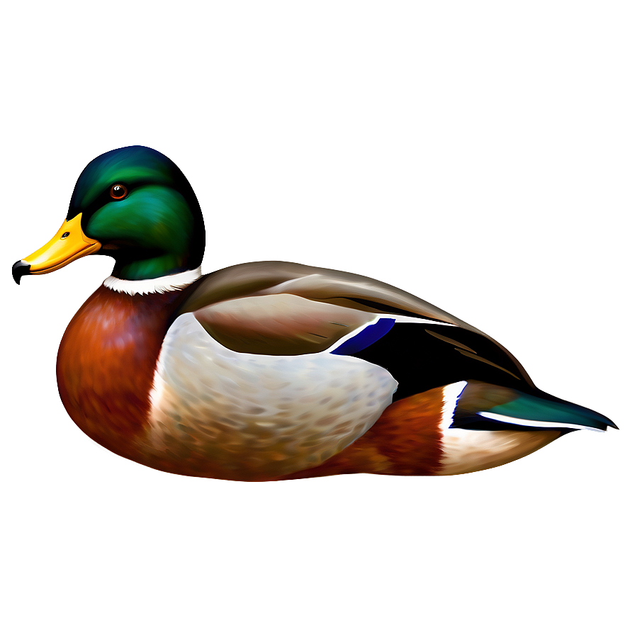 Stylized Mallard Duck Png Nom96 PNG Image