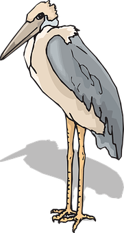 Stylized Marabou Stork Illustration PNG Image