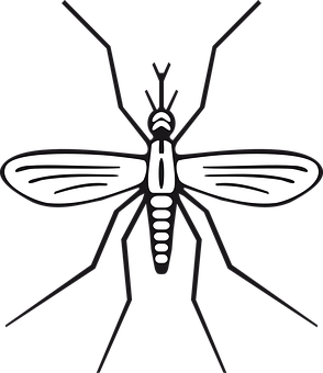 Stylized Mosquito Illustration PNG Image