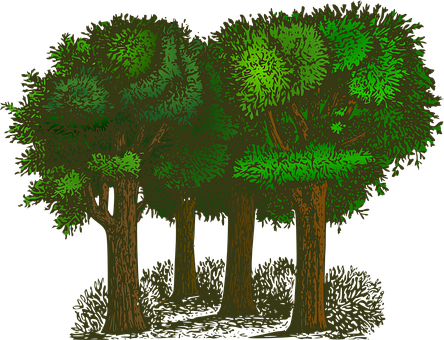 Stylized Nighttime Forest Illustration PNG Image