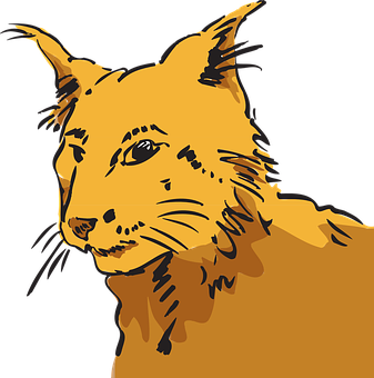 Stylized Orange Cat Illustration PNG Image