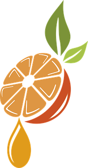 Stylized Orange Slice Art PNG Image