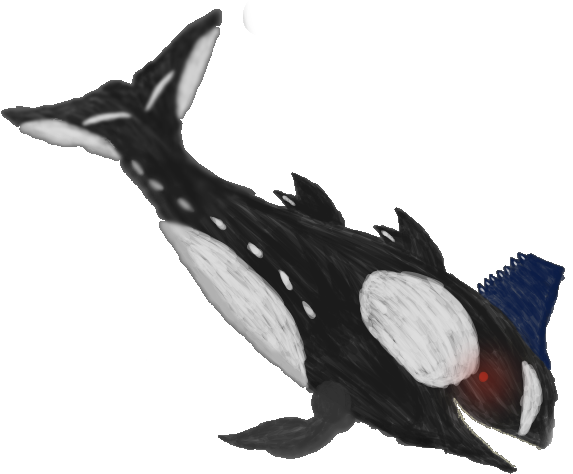 Stylized Orca Drawing PNG Image