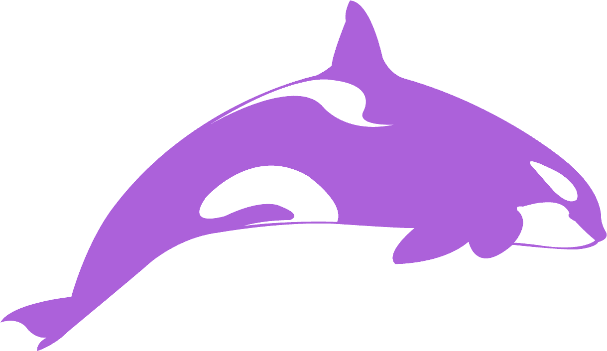 Stylized Orca Graphic PNG Image