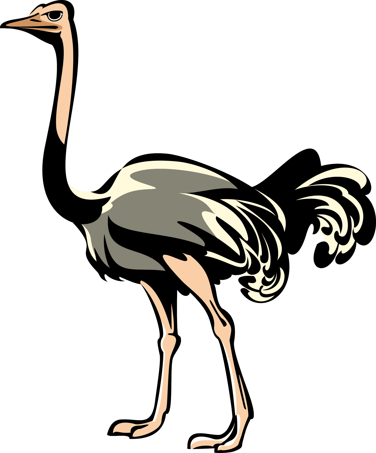 Stylized Ostrich Illustration PNG Image