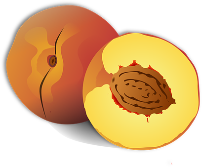 Stylized Peachand Pit Illustration PNG Image