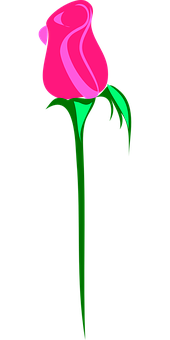 Stylized Pink Rose Graphic PNG Image