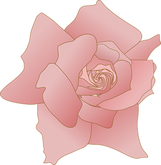 Stylized Pink Rose Illustration PNG Image