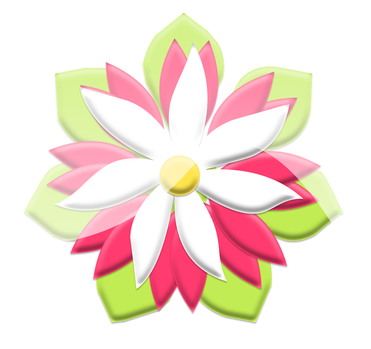 Stylized Pinkand White Flower Illustration PNG Image